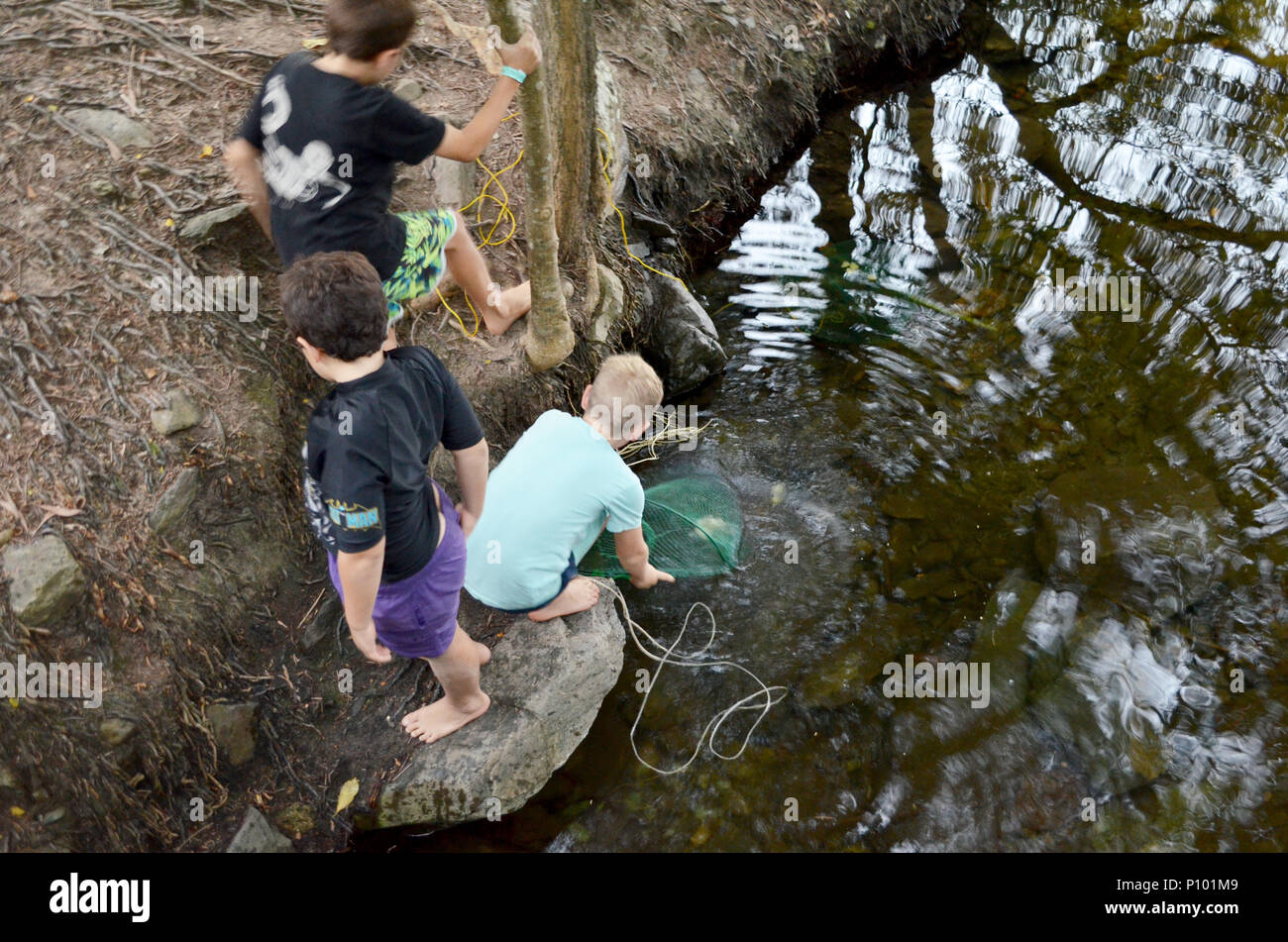 Children fishing for crabs and yabbies Stock Photo
