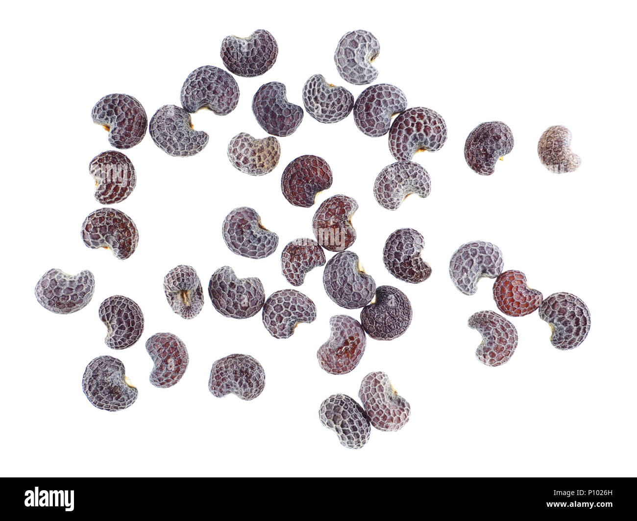 Kidney shaped seeds hires stock photography and images Alamy