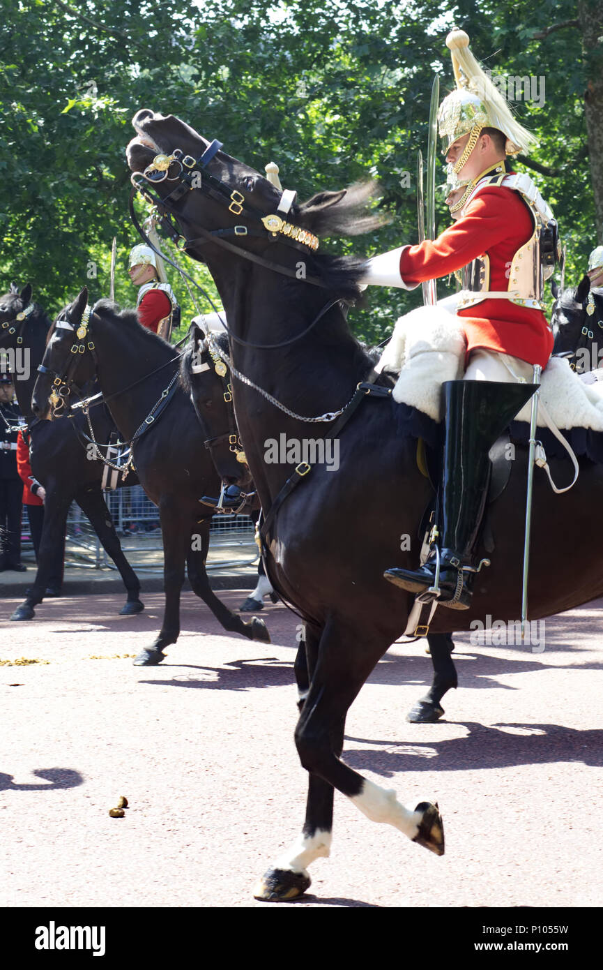 The Queens Lifeguards of the household cavalry on the Mall for the Trooping of the Colour Stock Photo