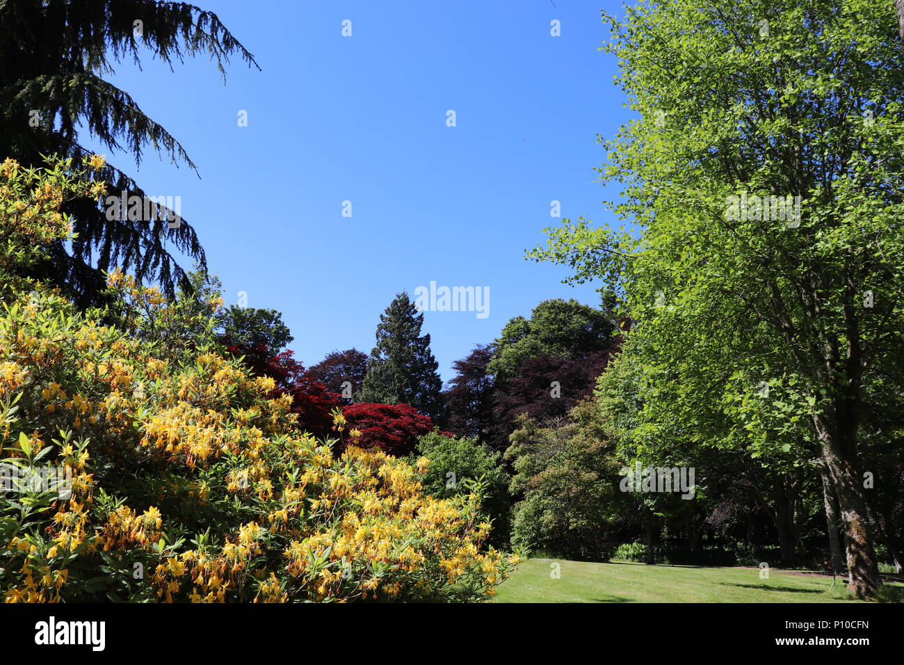 Flowers, plants and shrubs in formal garden against blue sky Stock Photo