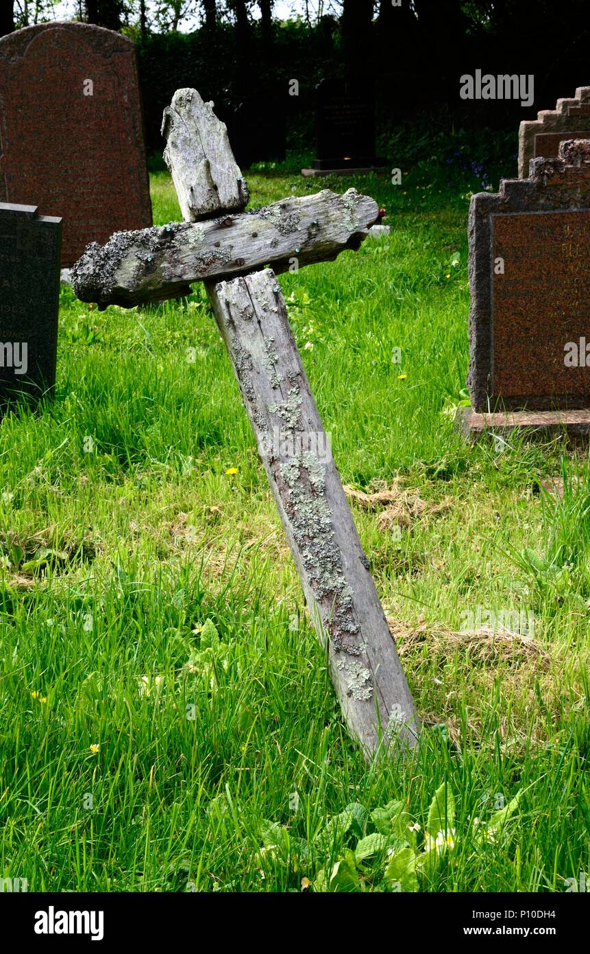 Lichen growing on a simple wooden cross grave marker in the graveyard of St Decumans Church Rhoscrowther  Pembrokeshire Wales Cymru UK Stock Photo