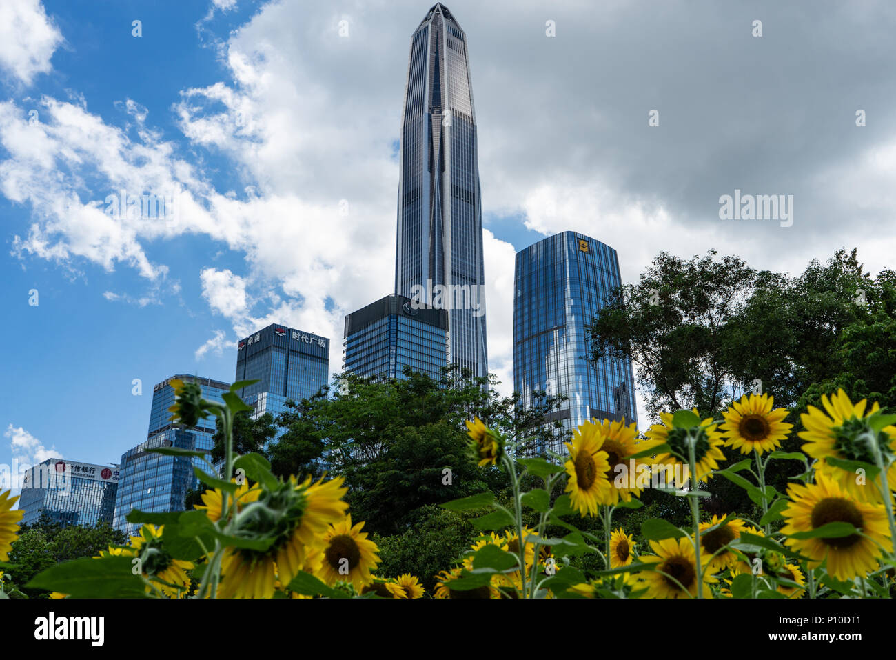 Shenzhen city skyline and cityscape with city's tallest building Ping An Stock Photo