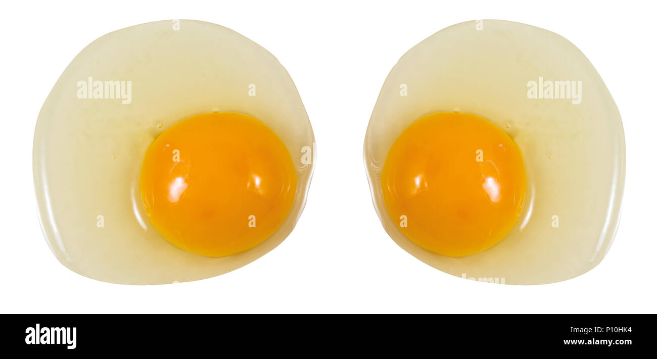 Fresh eggs, white and yellow eggs isolated on white background, Top view with clipping path. Stock Photo