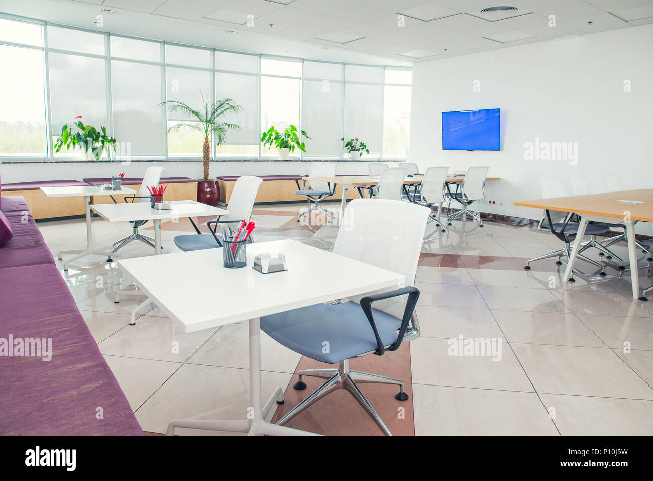 Interior of modern light empty open space office with big windows
