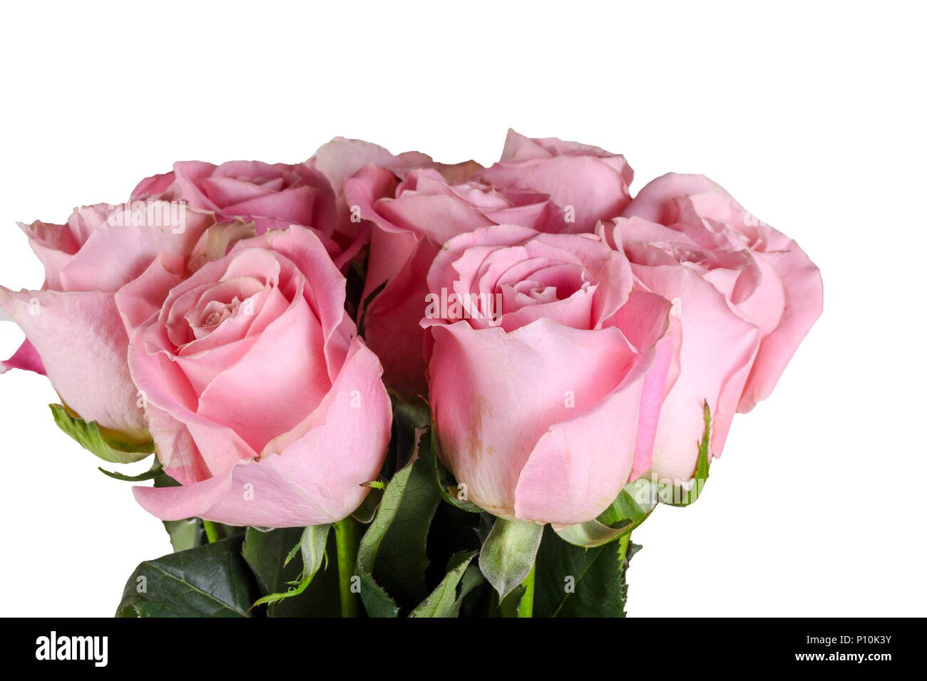Pink roses bouquet isolated on white background Stock Photo - Alamy