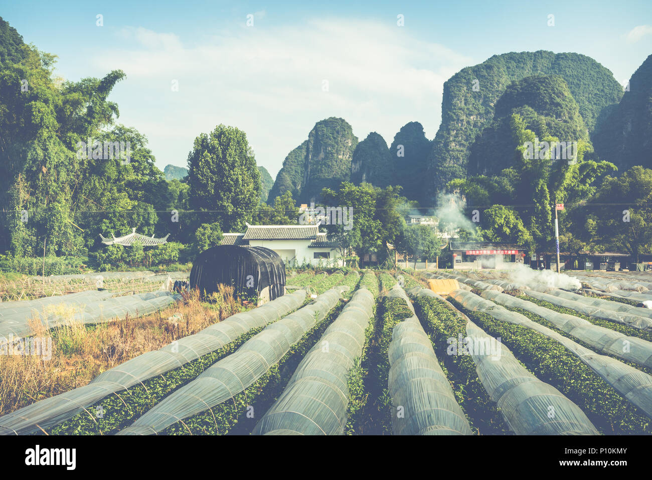 Scenic summer sunny landscape at Yangshuo County of Guilin, China. Stock Photo