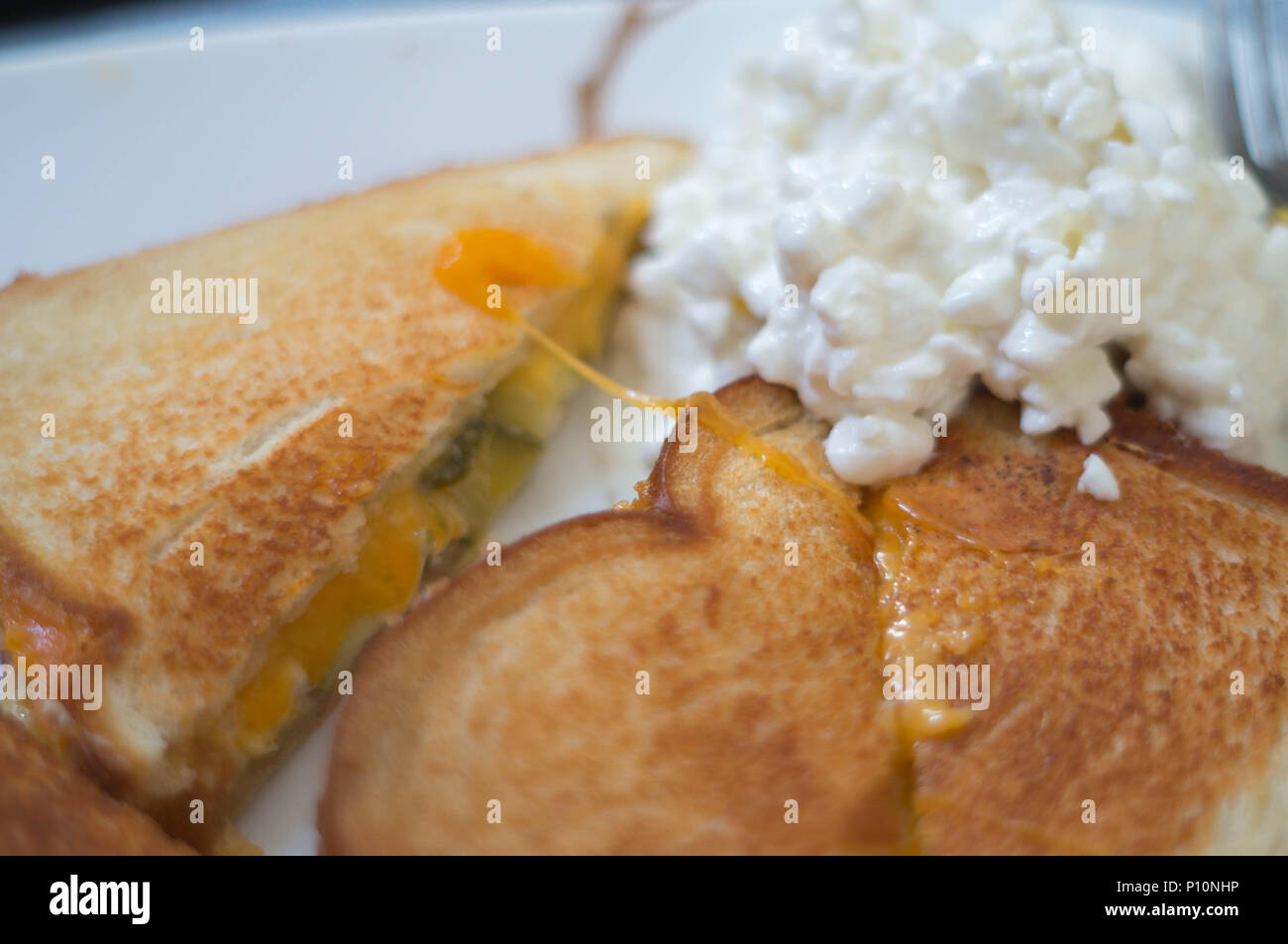 grilled cheese sandwich with pickles and cottage cheese Stock Photo Alamy