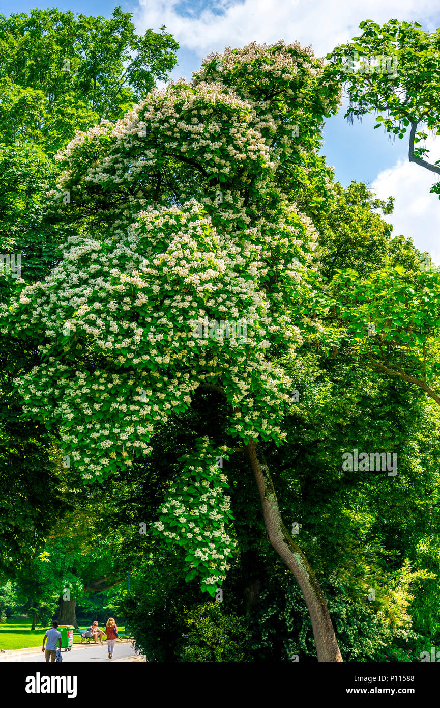 Parc Montsouris in Paris, France Stock Photo Alamy