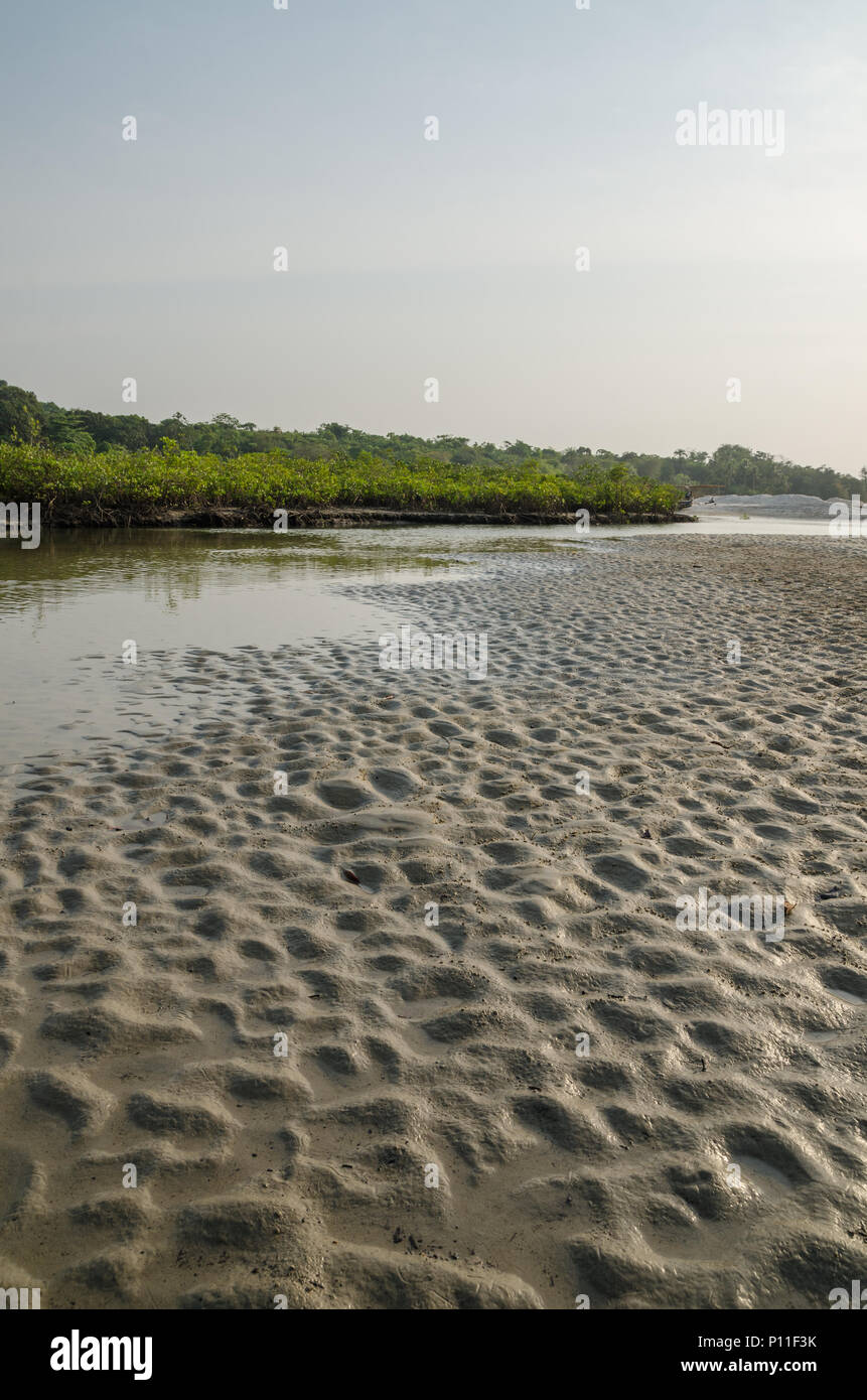 Mangroves swamp with estuary at coast of Sierra Leone near Tokeh Beach Stock Photo