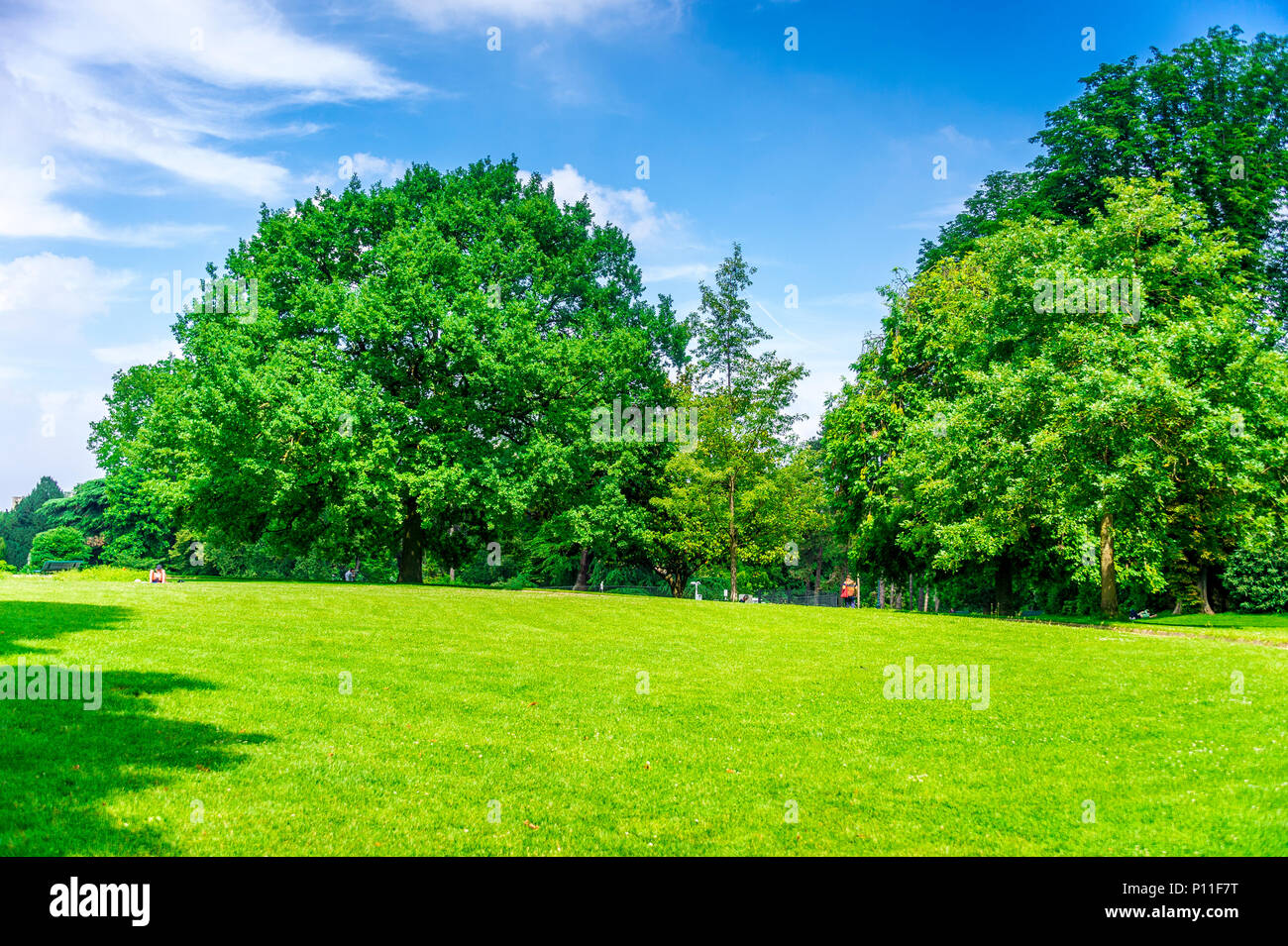 Parc Montsouris in Paris, France Stock Photo Alamy