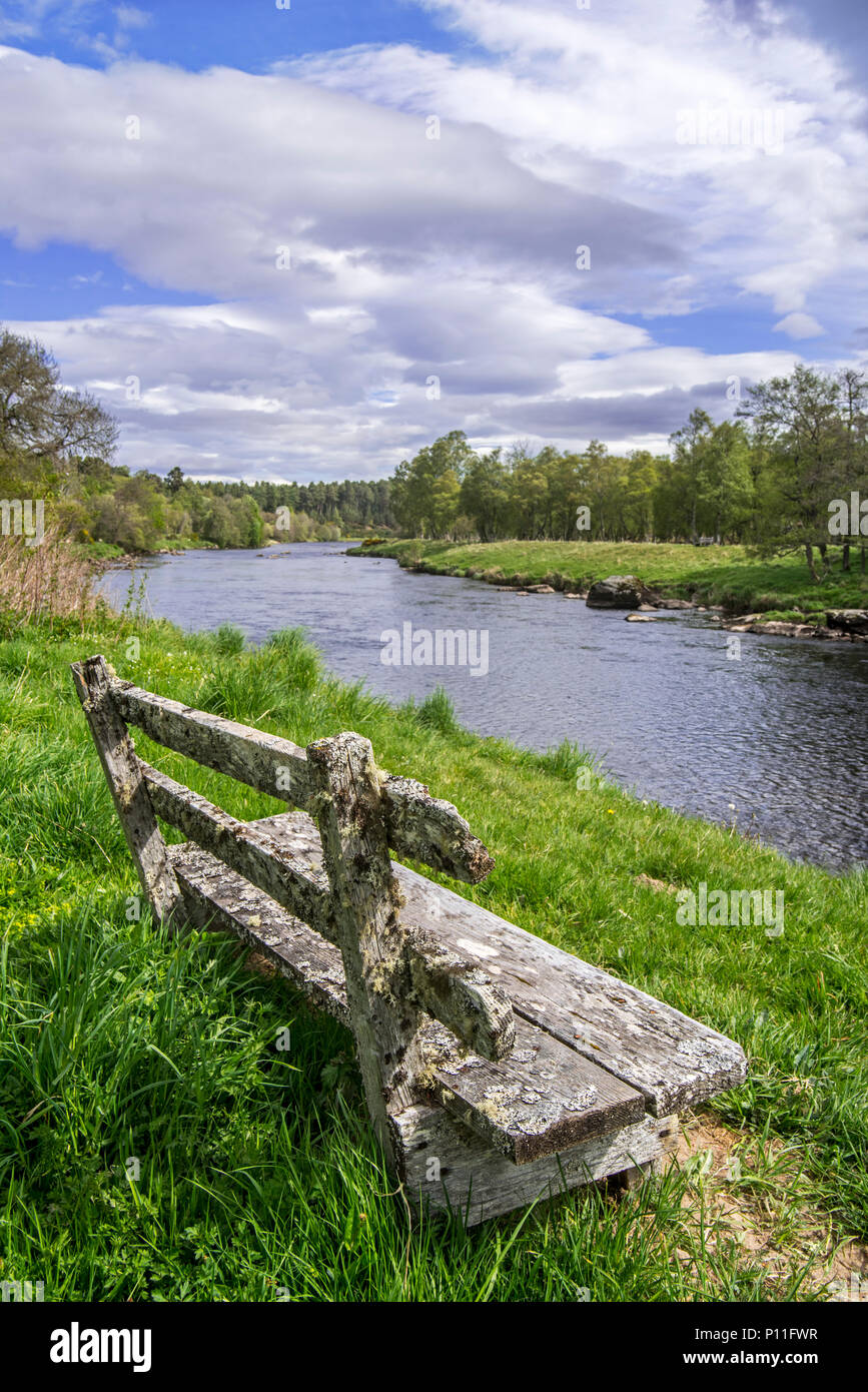 Old weathered wooden bench on riverbank along the river Spey in spring at Grantown-on-Spey, Highland, Moray, Scotland, UK Stock Photo
