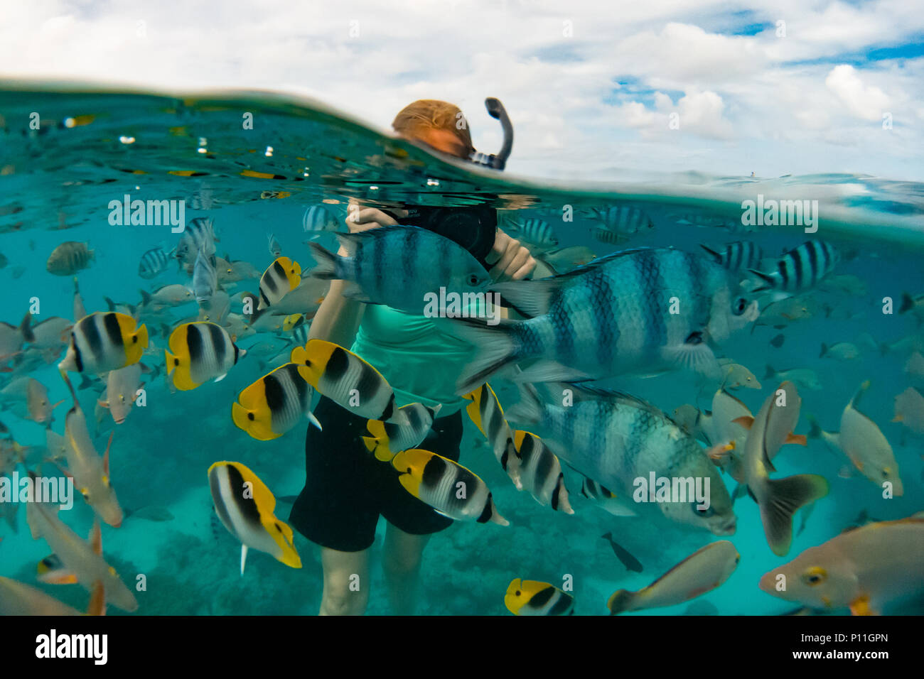Snorkelers enjoying the incredible fish at the 'aquarium' at Rangiroa atoll, Tuamotu group, French Polynesia Stock Photo