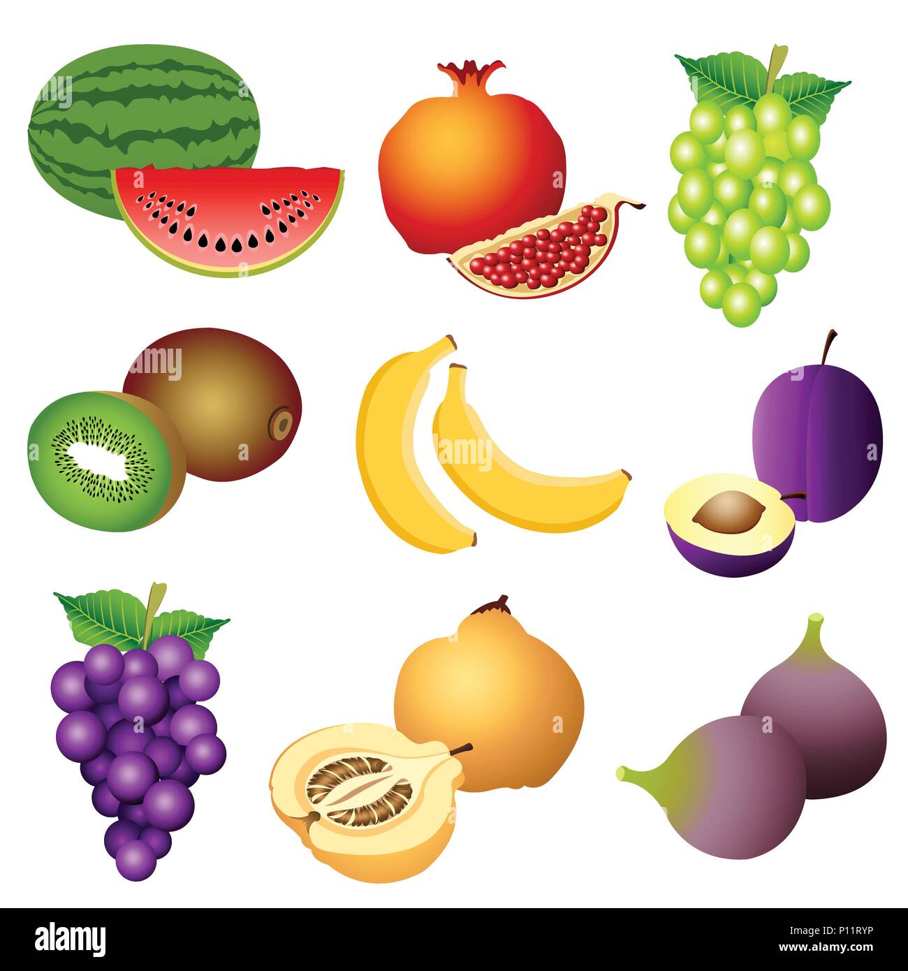 Fig tree fruit water Stock Vector Images - Alamy
