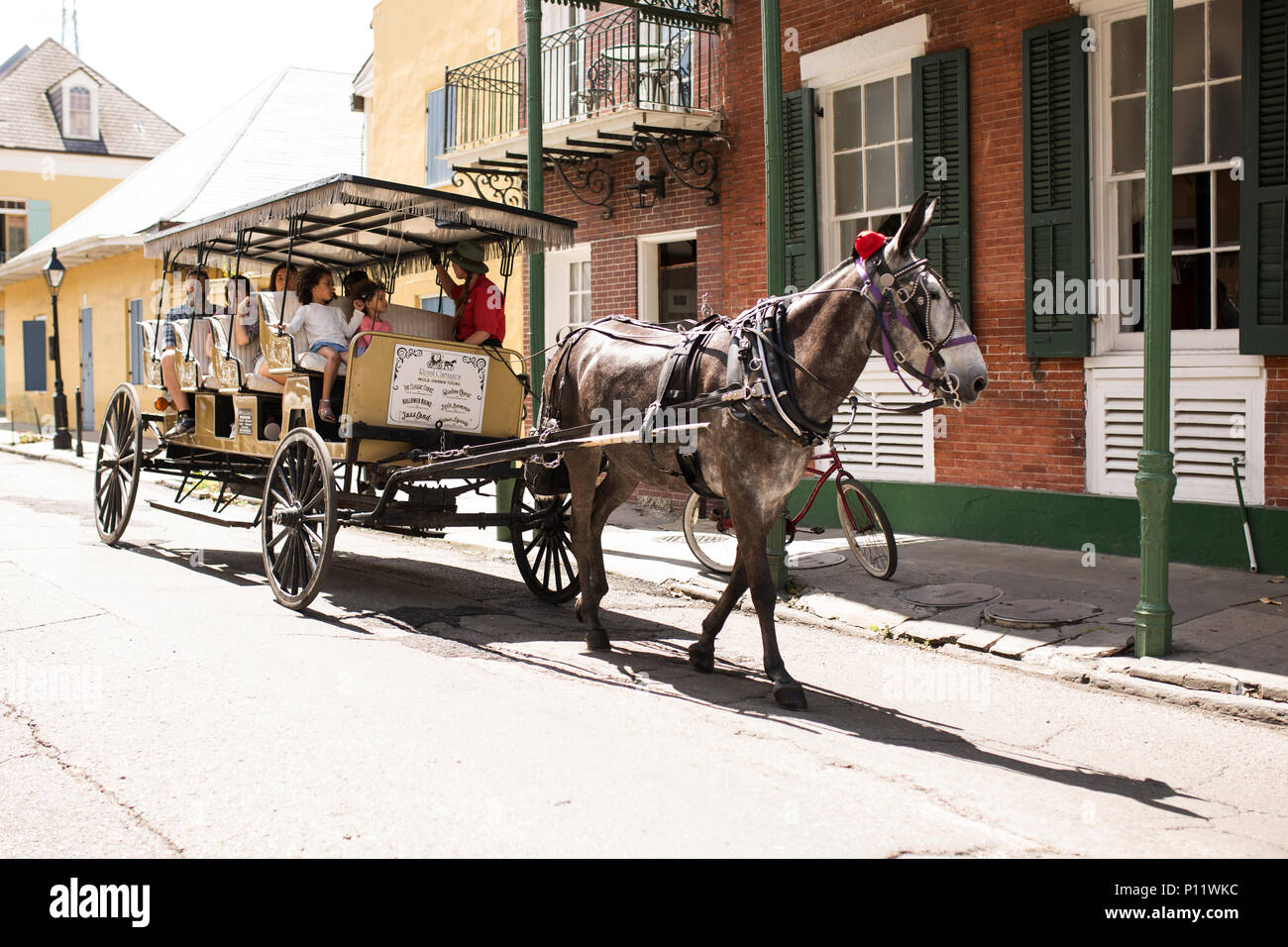 New orleans french quarter carriage hires stock photography and images