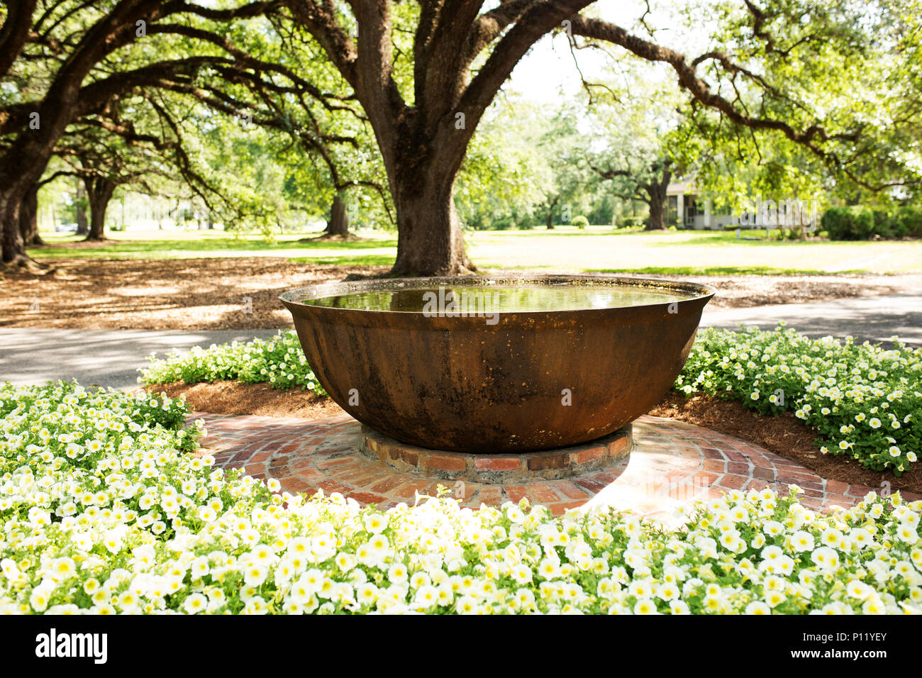 Large copper bowl used for boiling sugarcane at Oak Alley Plantation, a sugar plantation in ...