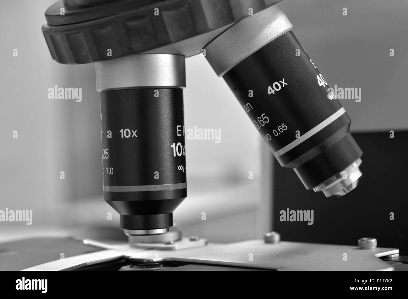 the Microscope in Laboratory Stock Photo - Alamy