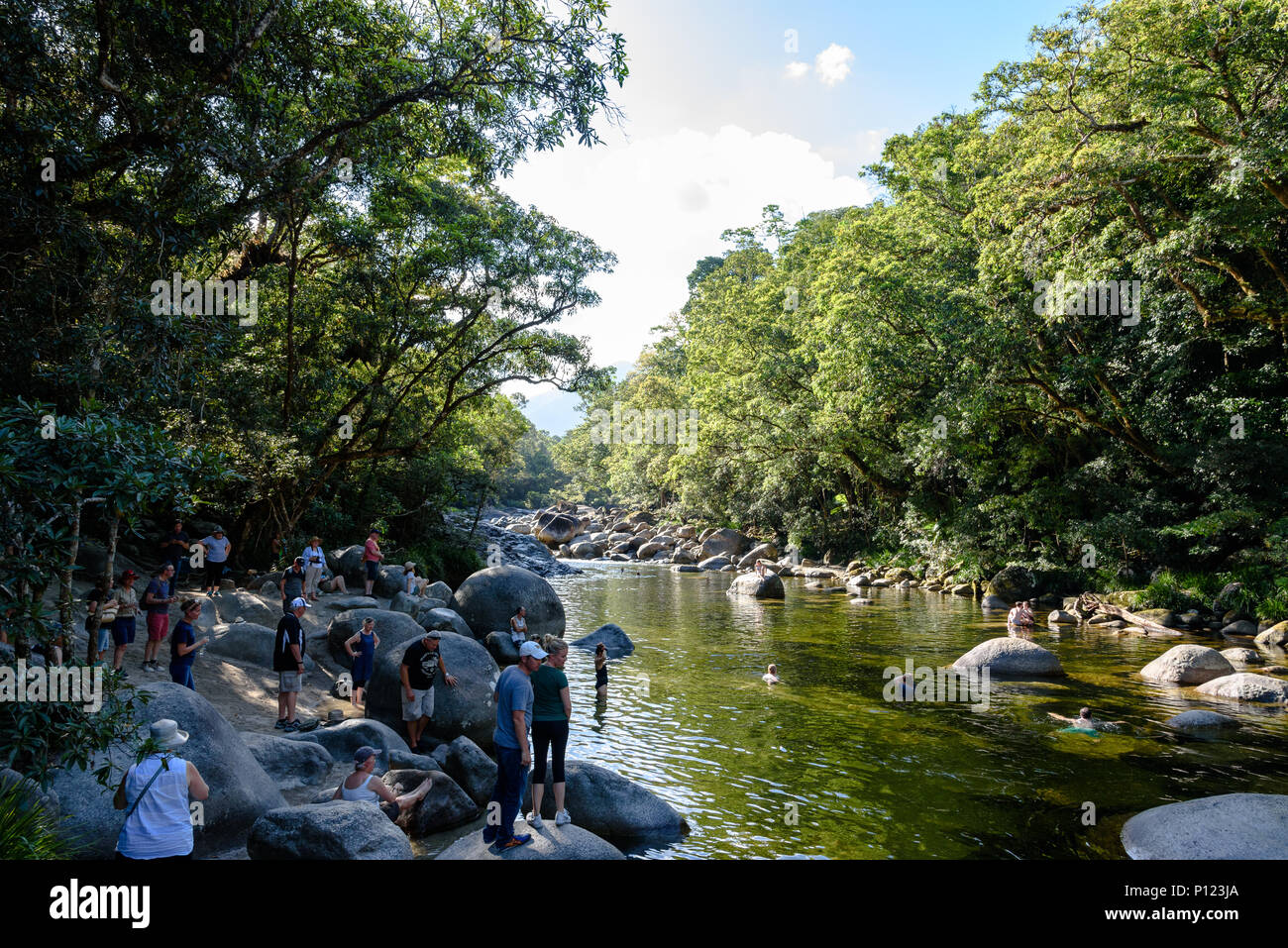 Tourists looking at and swimming in the Mossman River in the Mossman Gorge in Far North Queensland Stock Photo
