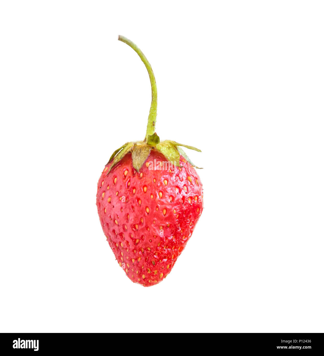 Ripe red strawberry berry on white background, close-up Stock Photo - Alamy