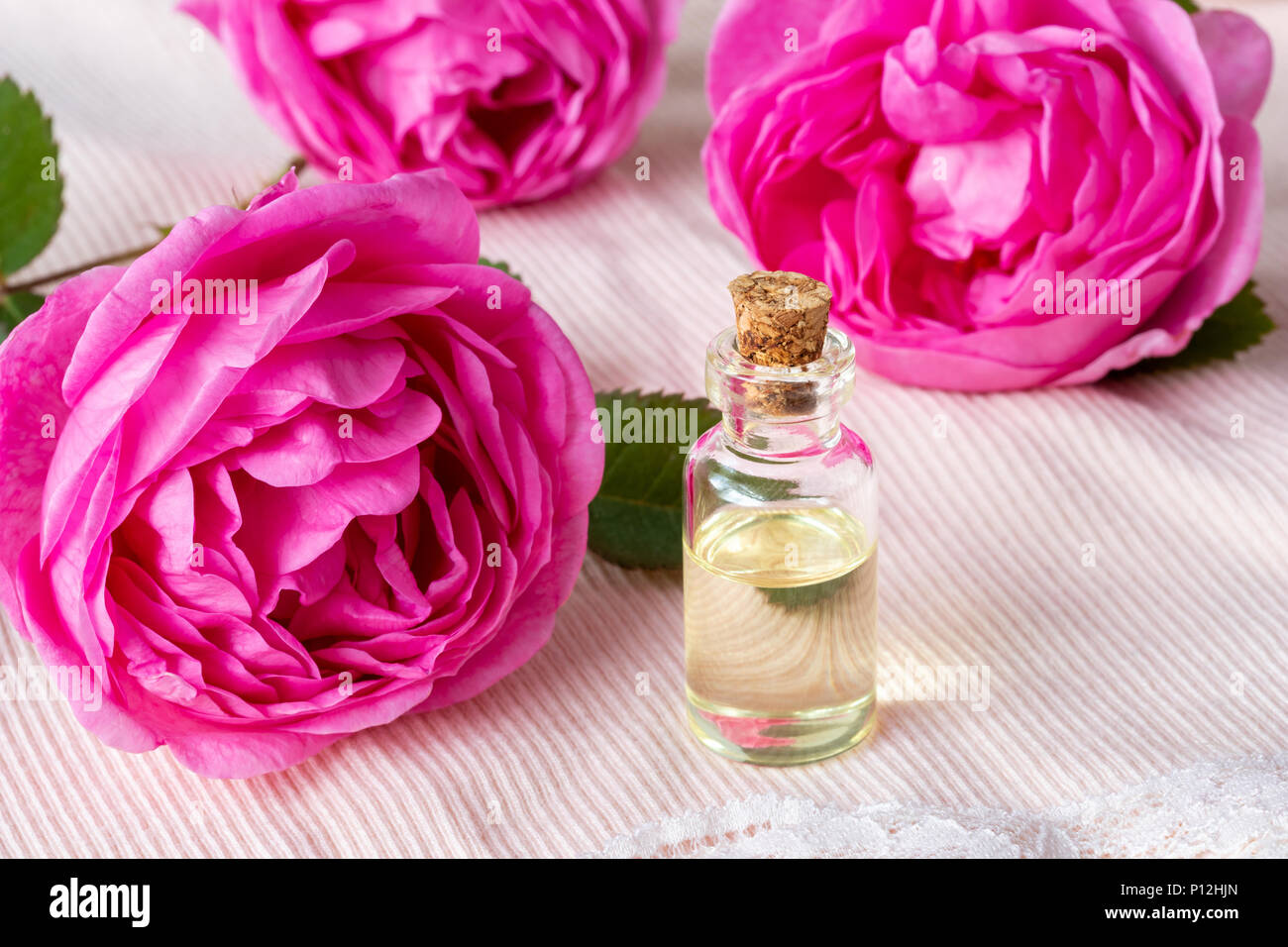 A transparent bottle of essential oil with fresh roses Stock Photo Alamy