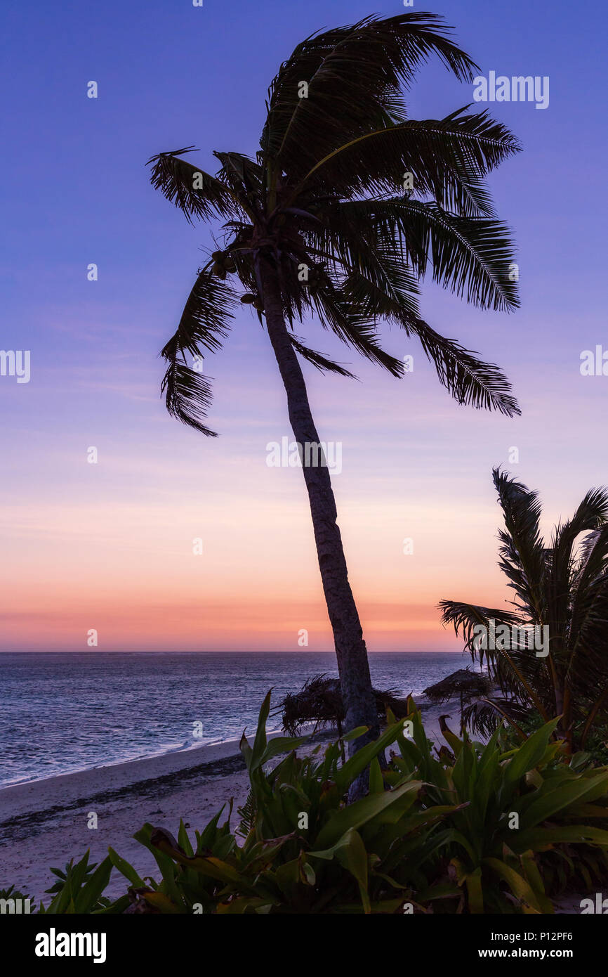 Tropical sunset palm tree hi-res stock photography and images - Alamy