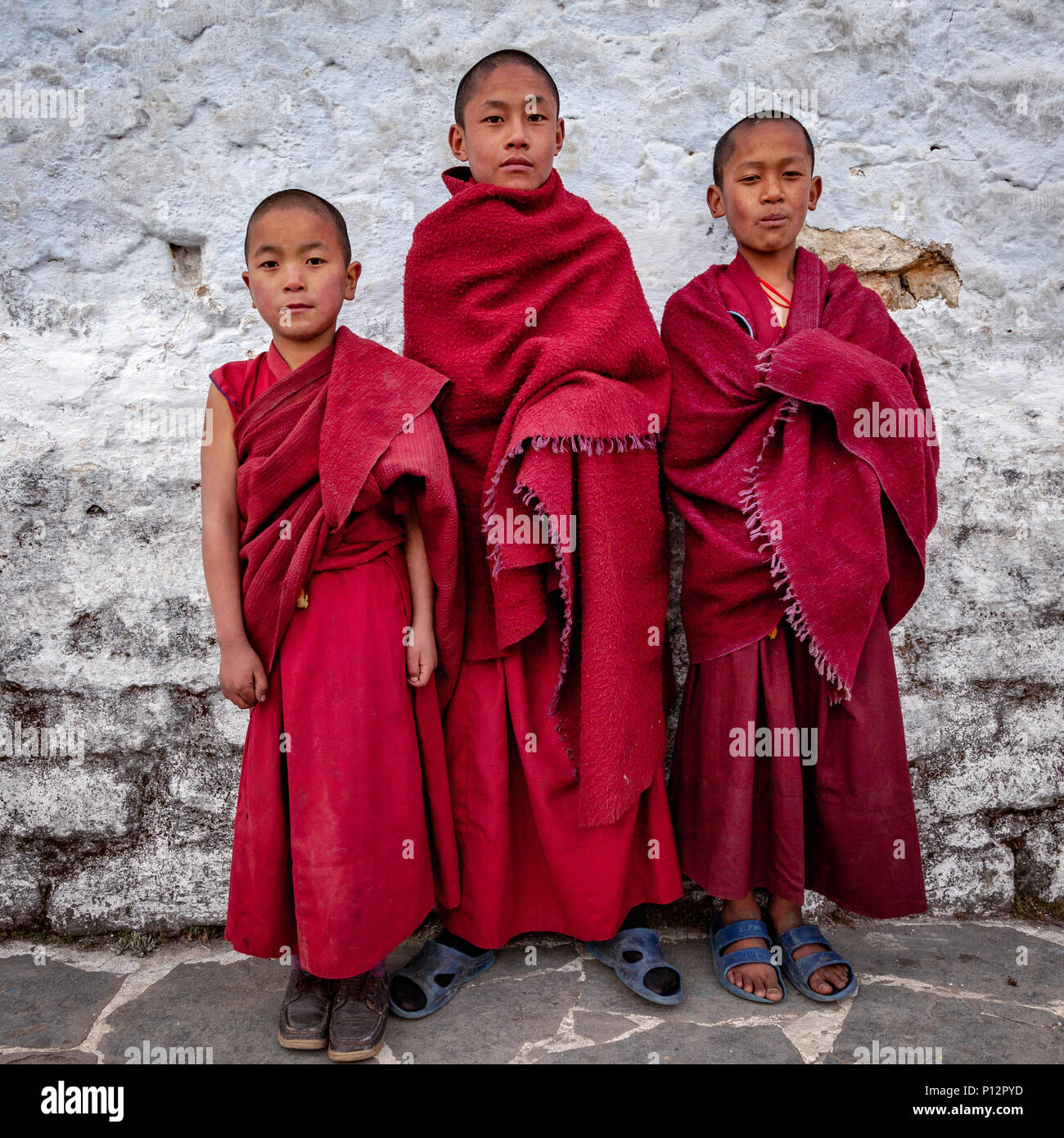 Three young monks from Galden Namgey Lhatse Monastery, Arunachal Pradesh, India Stock Photo