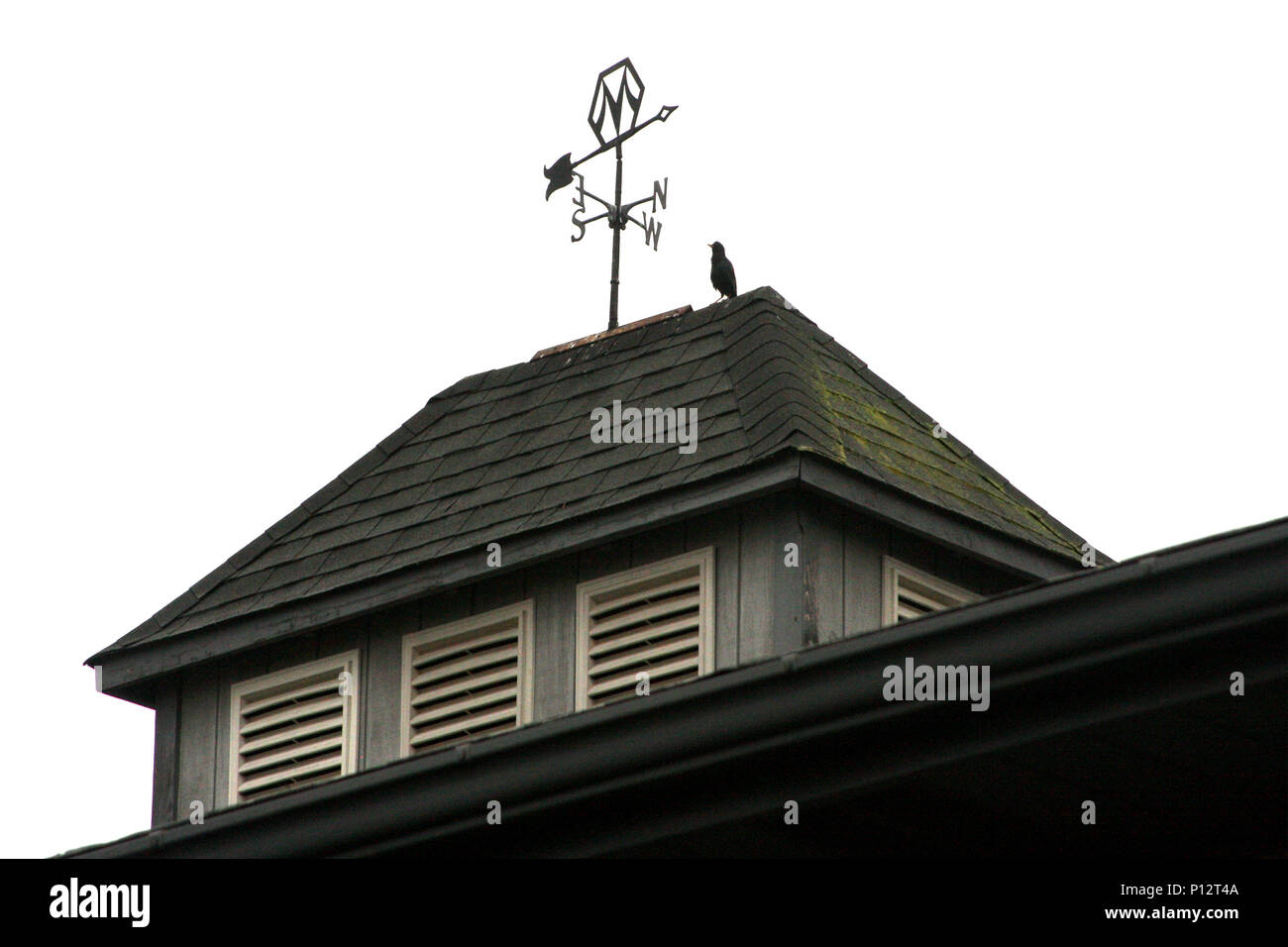Wind vane on roof Stock Photo Alamy