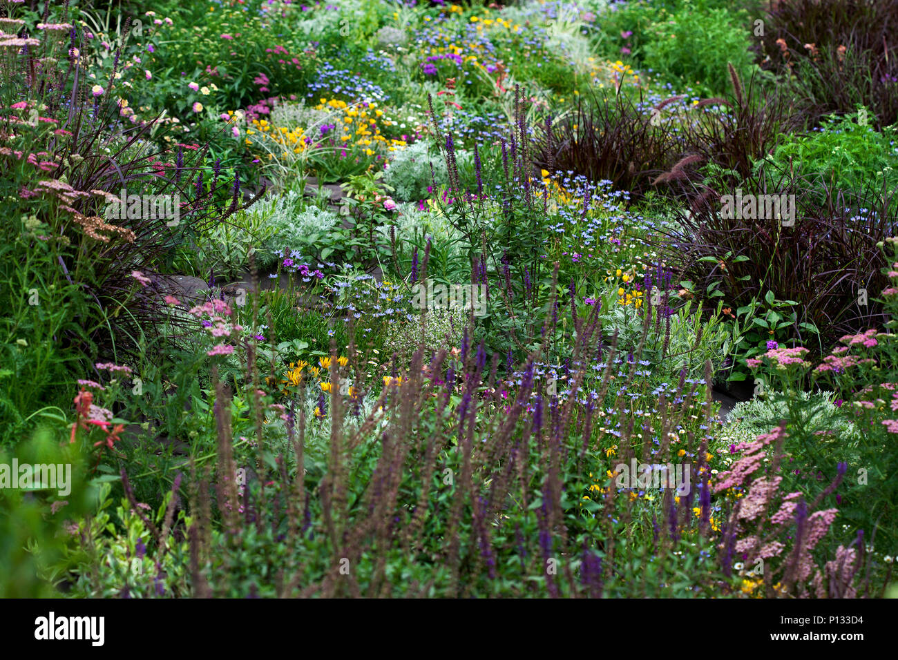 Flowers, Sagrada Familia,Barcelona, Spain. Stock Photo