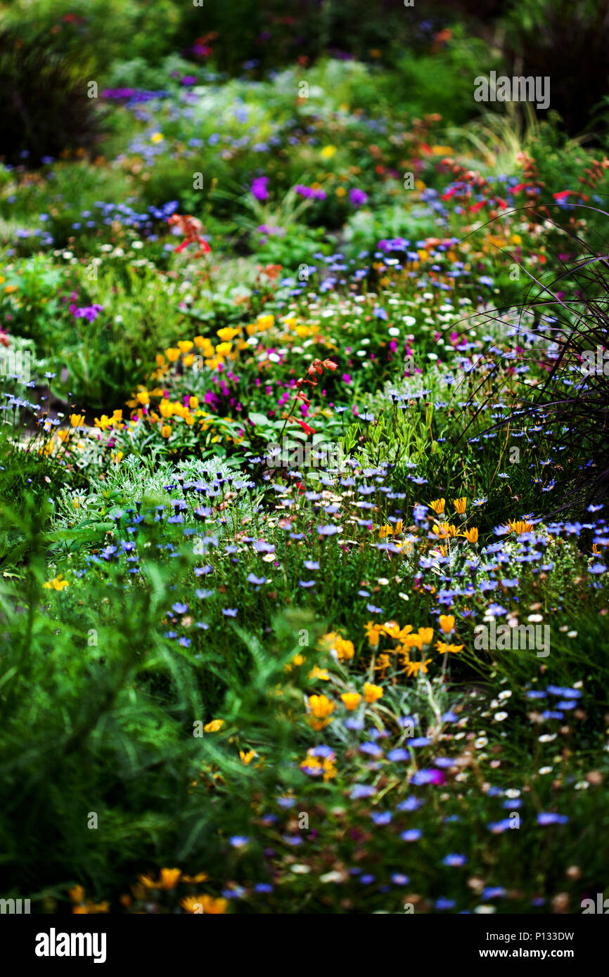 Flowers, Sagrada Familia,Barcelona, Spain. Stock Photo