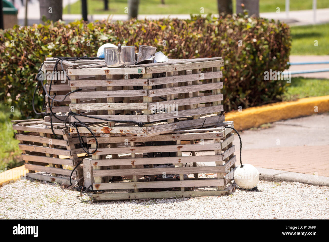 Florida lobster fisherman hires stock photography and images Alamy