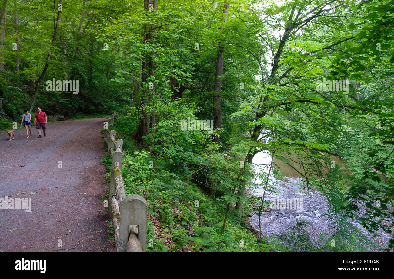Wissahickon Valley Park and Creek with People on Forbidden Drive in  Northwest Philadelphia, Pennsylvania, USA Stock Photo