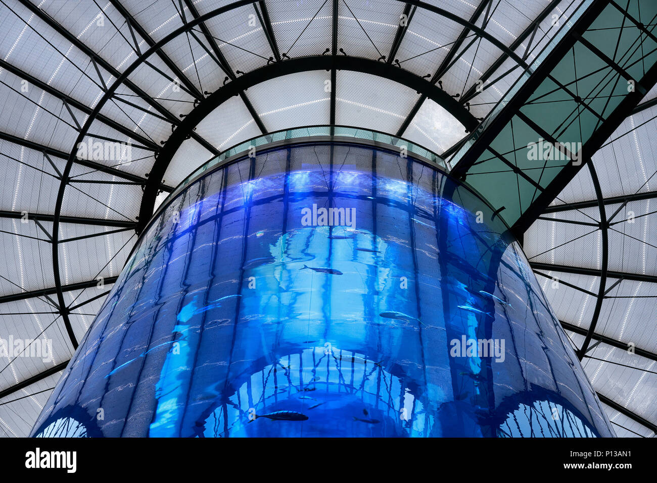 Berlin, Germany - April 5, 2017: Aquarium inside Radisson Hotel Sea Life in Berlin Stock Photo