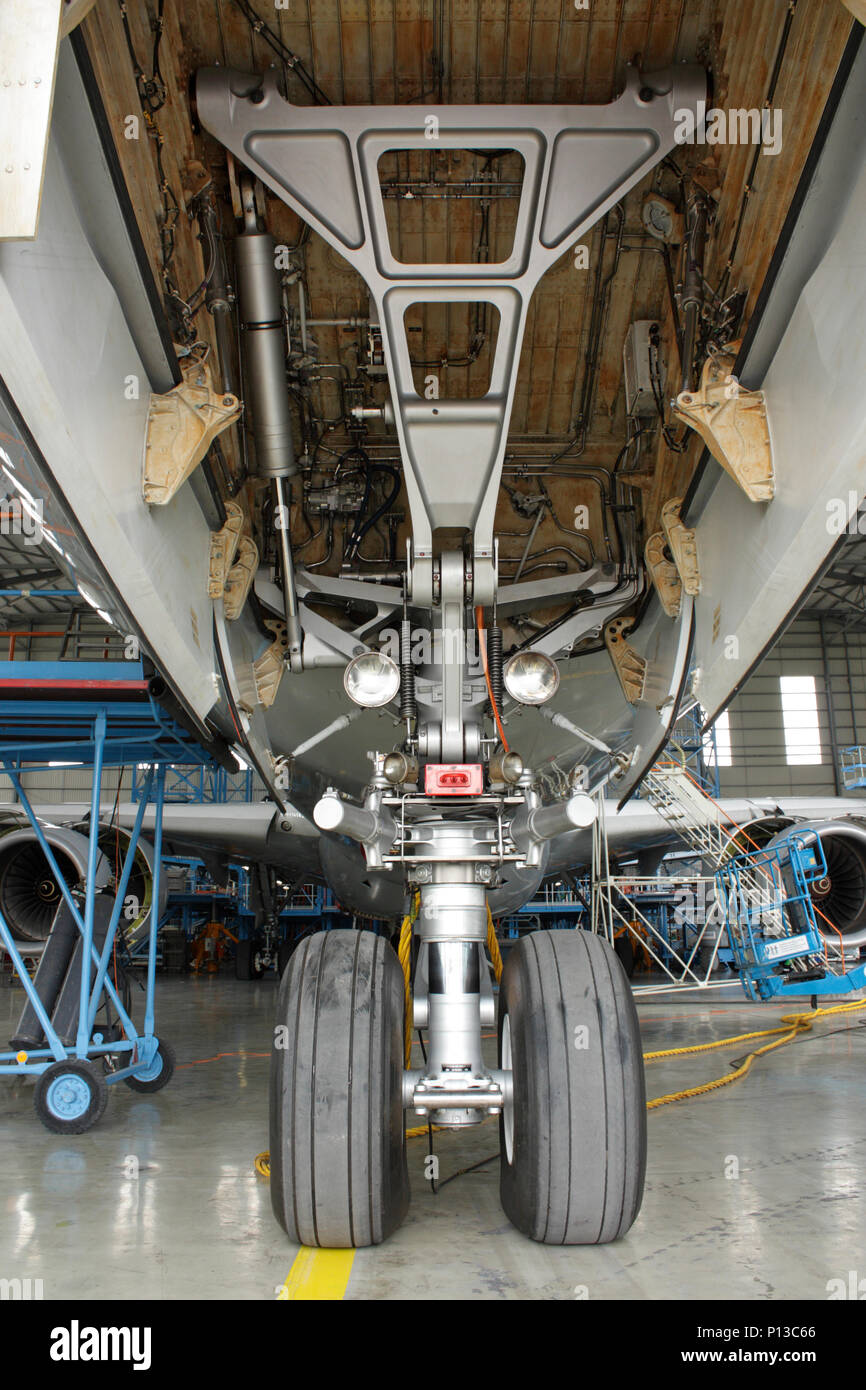 Nose wheels and leg of an Airbus A340 jet aircraft during maintenance, with undercarriage bay doors open. Closeup view. Stock Photo