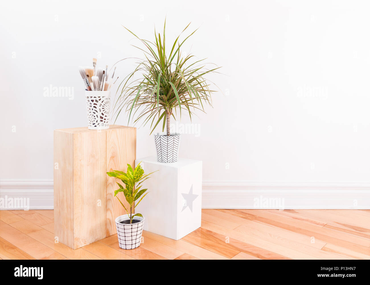 Paintbrushes and houseplants in hand-painted ceramic pots. Gold Dust Croton plant and Dracaena marginata tricolor, or Madagascar dragon tree. Stock Photo