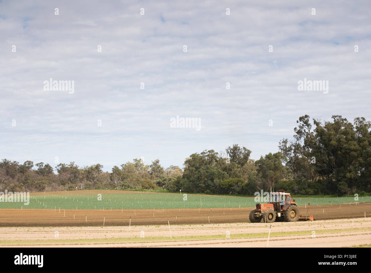 Rural field australia hi-res stock photography and images - Alamy