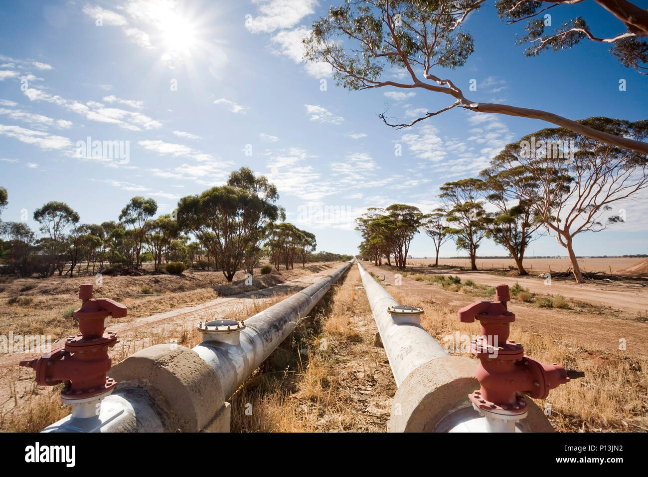 The famous Perth to Kalgoorlie Pipeline in rural Western Australia