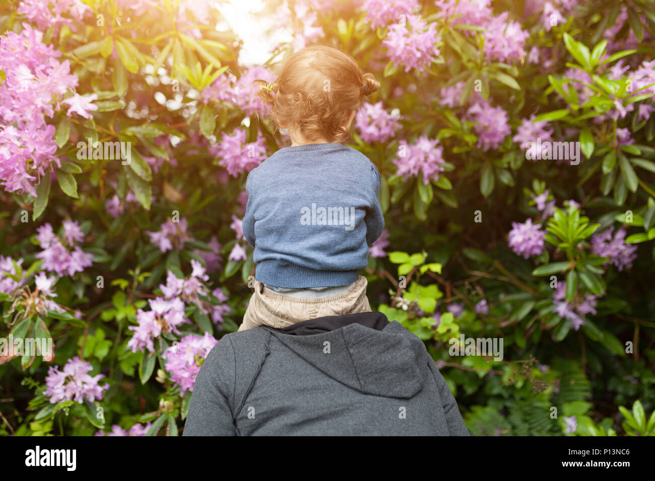 happy family at sunset. mother and daughter having fun and playing in nature. the child sits on the shoulders of his parent. Traveling with little chi Stock Photo