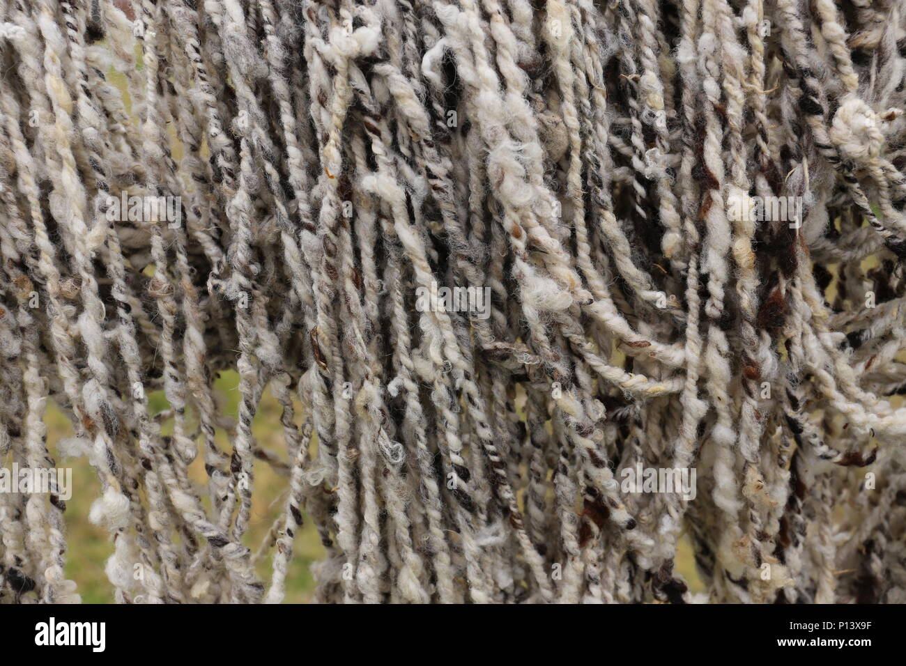 Sheep Wool fresh spinned Stock Photo