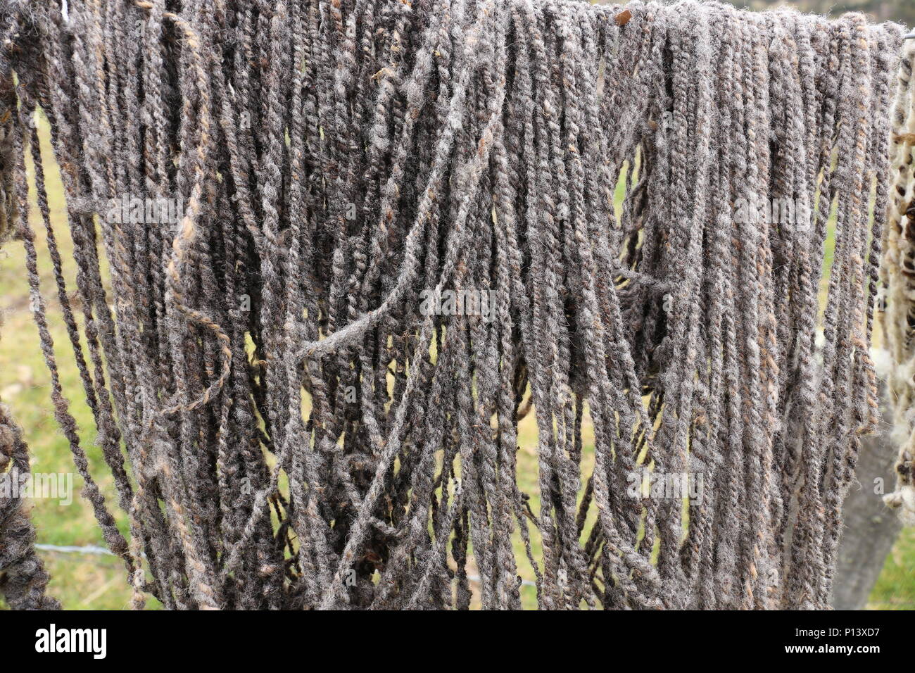 Sheep Wool fresh spinned Stock Photo