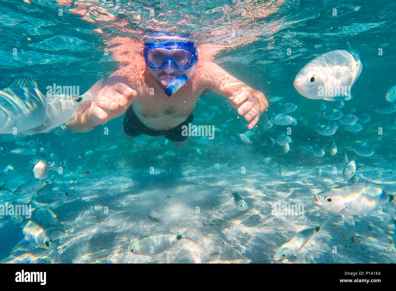 Young man snorkeling in underwater coral reef on tropical island. Stock Photo