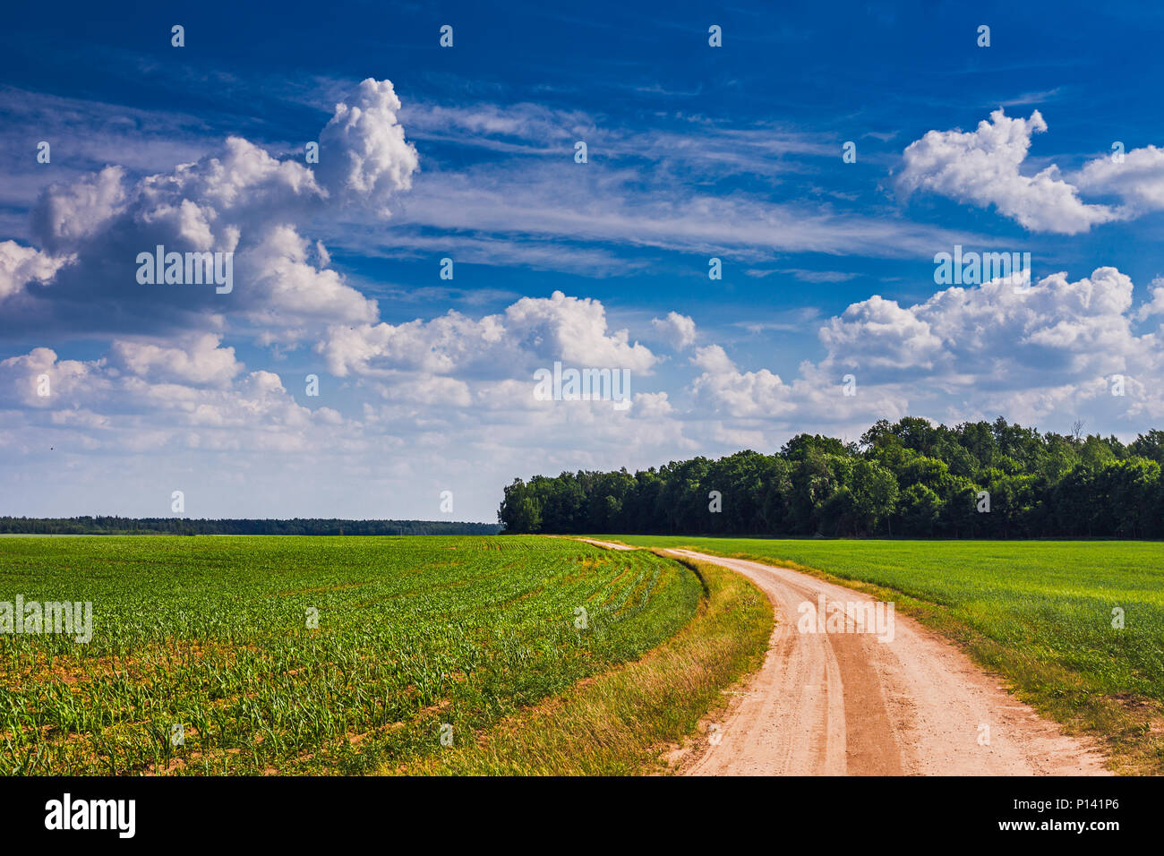 Summer landscape with green grass, road and clouds Stock Photo - Alamy