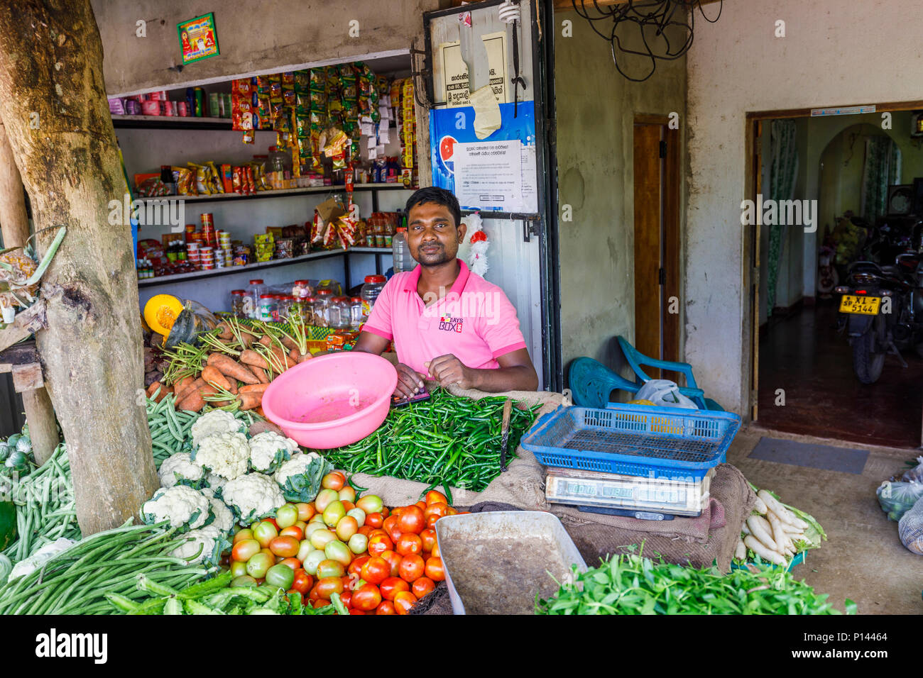 Stallholder in a rural roadside vegetable and grocery stall selling fresh local produce, Horagampita district, near Galle, Sri Lanka Stock Photo