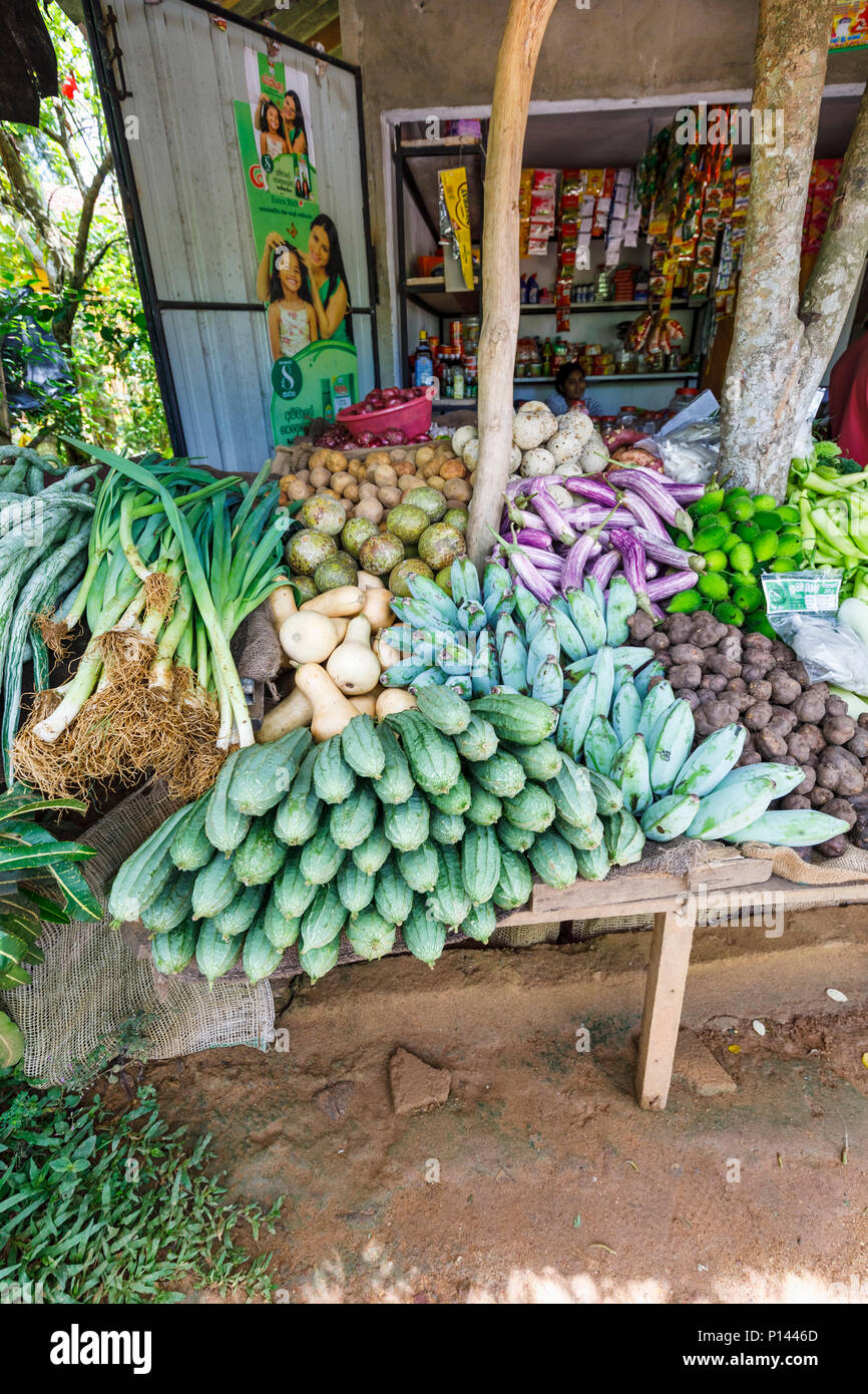 Rural roadside vegetable and grocery stall with a display of fresh local produce, Horagampita district, near Galle, Sri Lanka Stock Photo