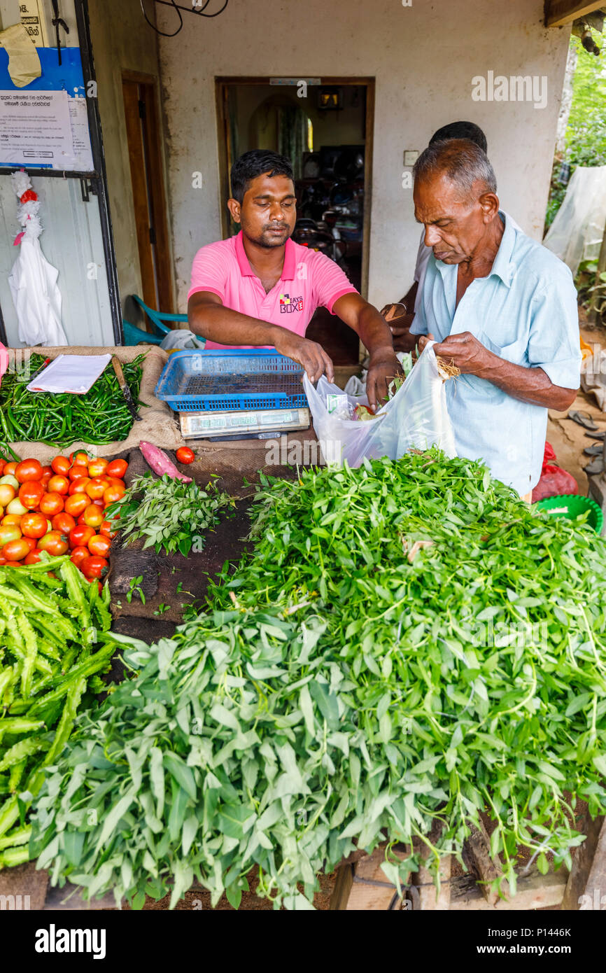 Stallholder in a rural roadside vegetable and grocery stall selling fresh produce to a local man, Horagampita district, near Galle, Sri Lanka Stock Photo