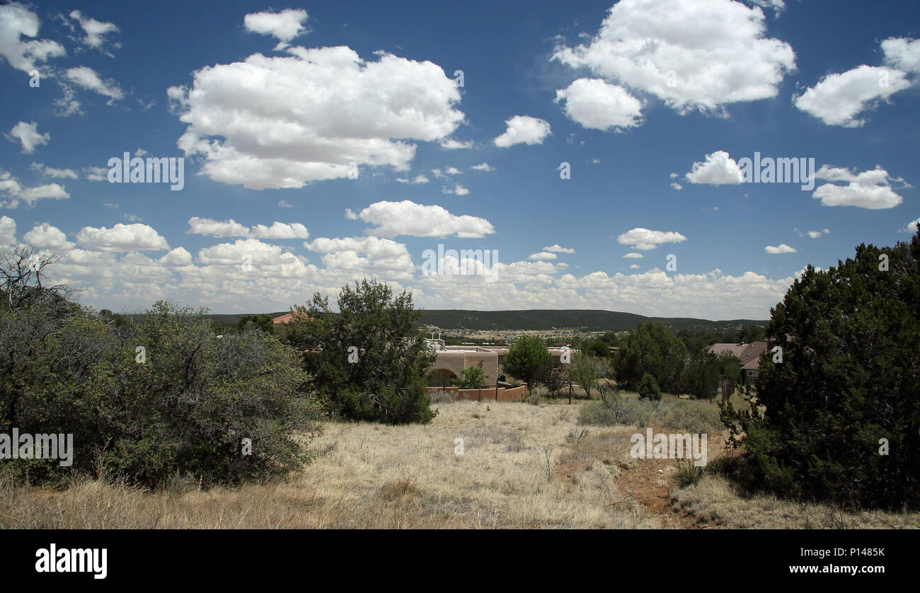 Landscape with shrubs blue sky and cloud with a view of the high desert