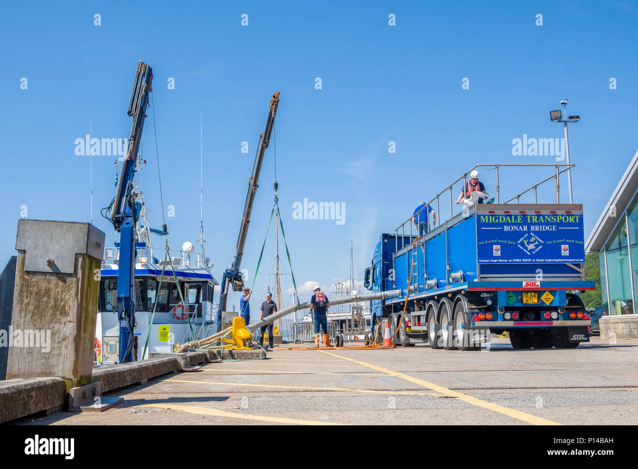 Fish transfer hi-res stock photography and images - Alamy