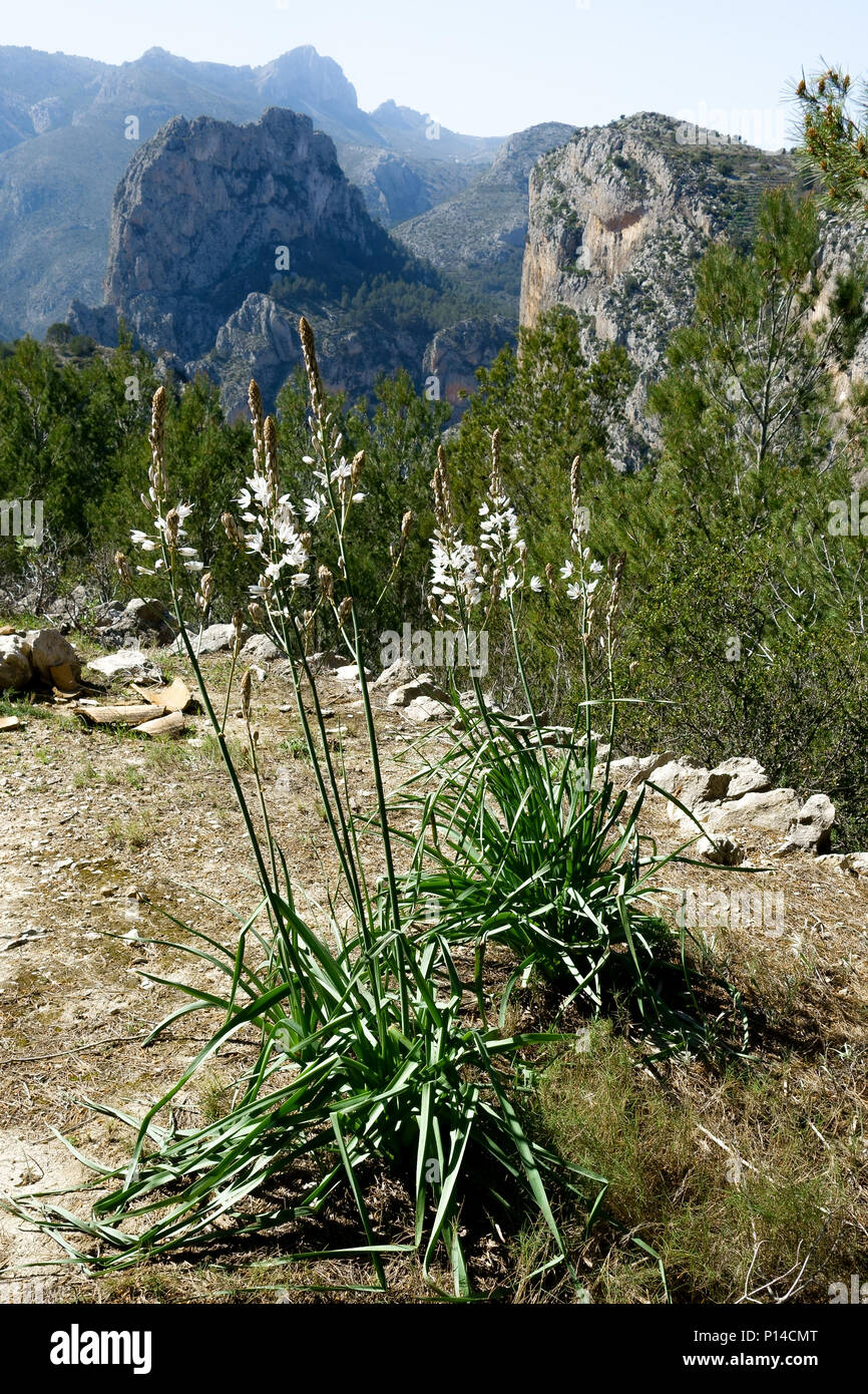 Sierra Bernia mountain walking views on the Costa Blanca, Spain Stock Photo