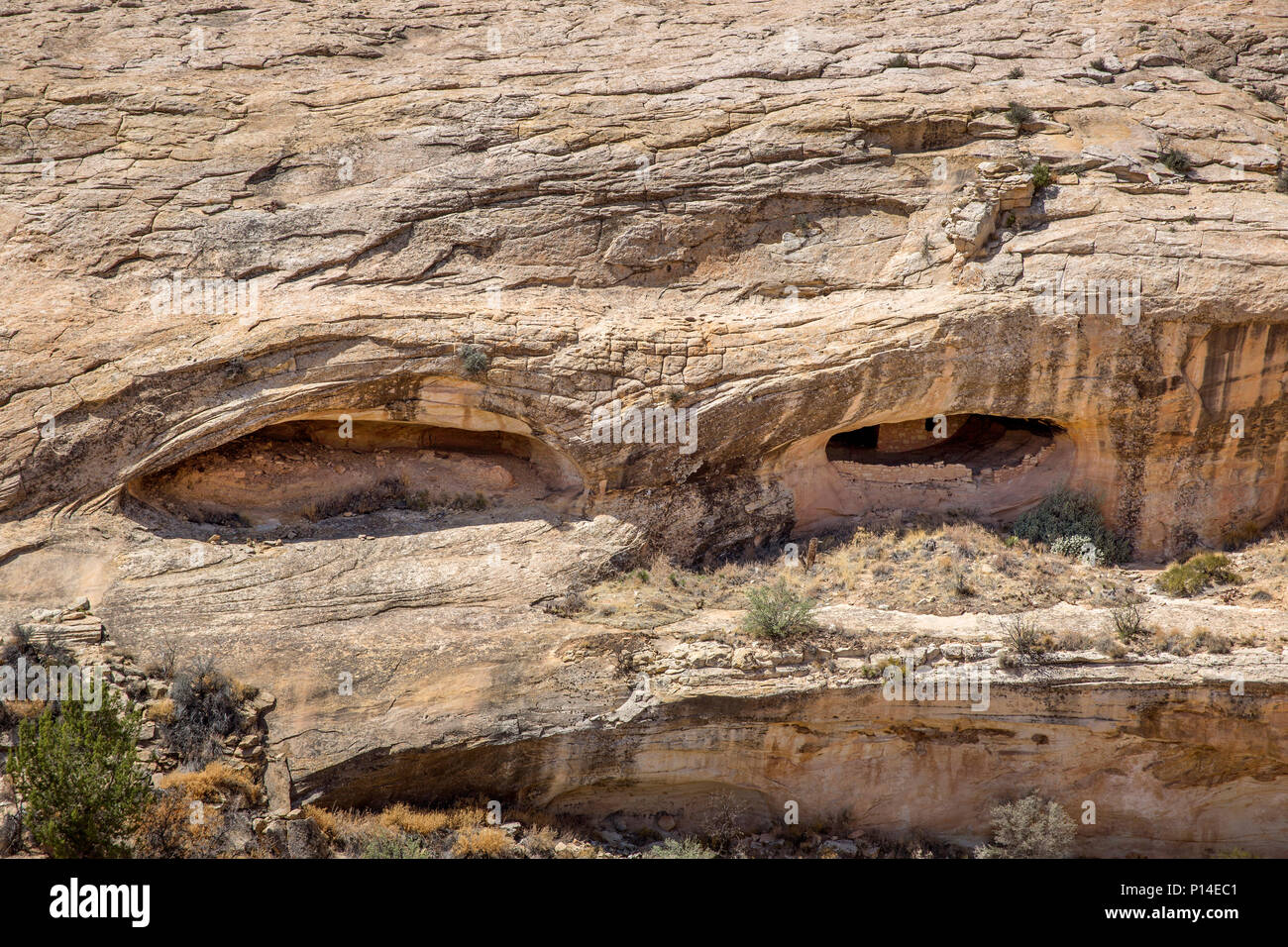 Close-up view of the Ancestral Puebloan cliff dwellings along the Butler Wash of Bears Ears National Monument in Southeastern, Utah Stock Photo