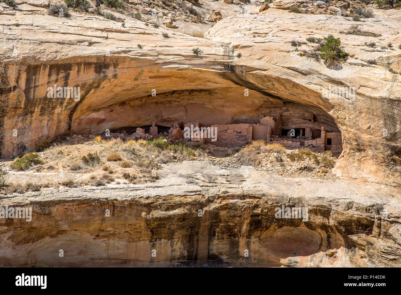 Ancestral Puebloan cliff dwellings along the Butler Wash of Bears Ears National Monument in Southeastern, Utah Stock Photo