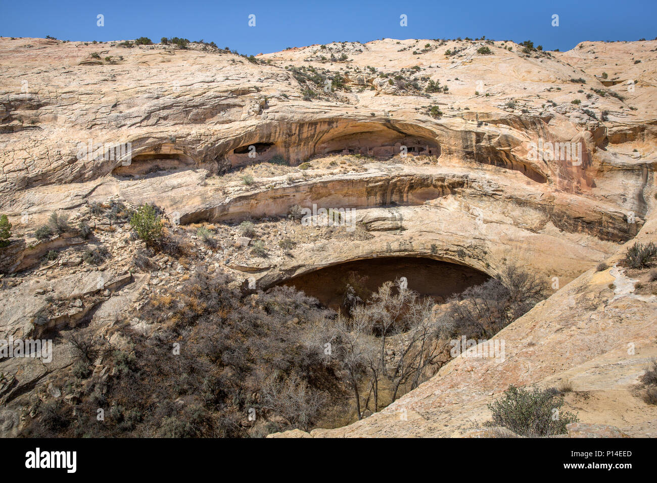 Ancestral Puebloan cliff dwellings along the Butler Wash of Bears Ears National Monument in Southeastern, Utah Stock Photo