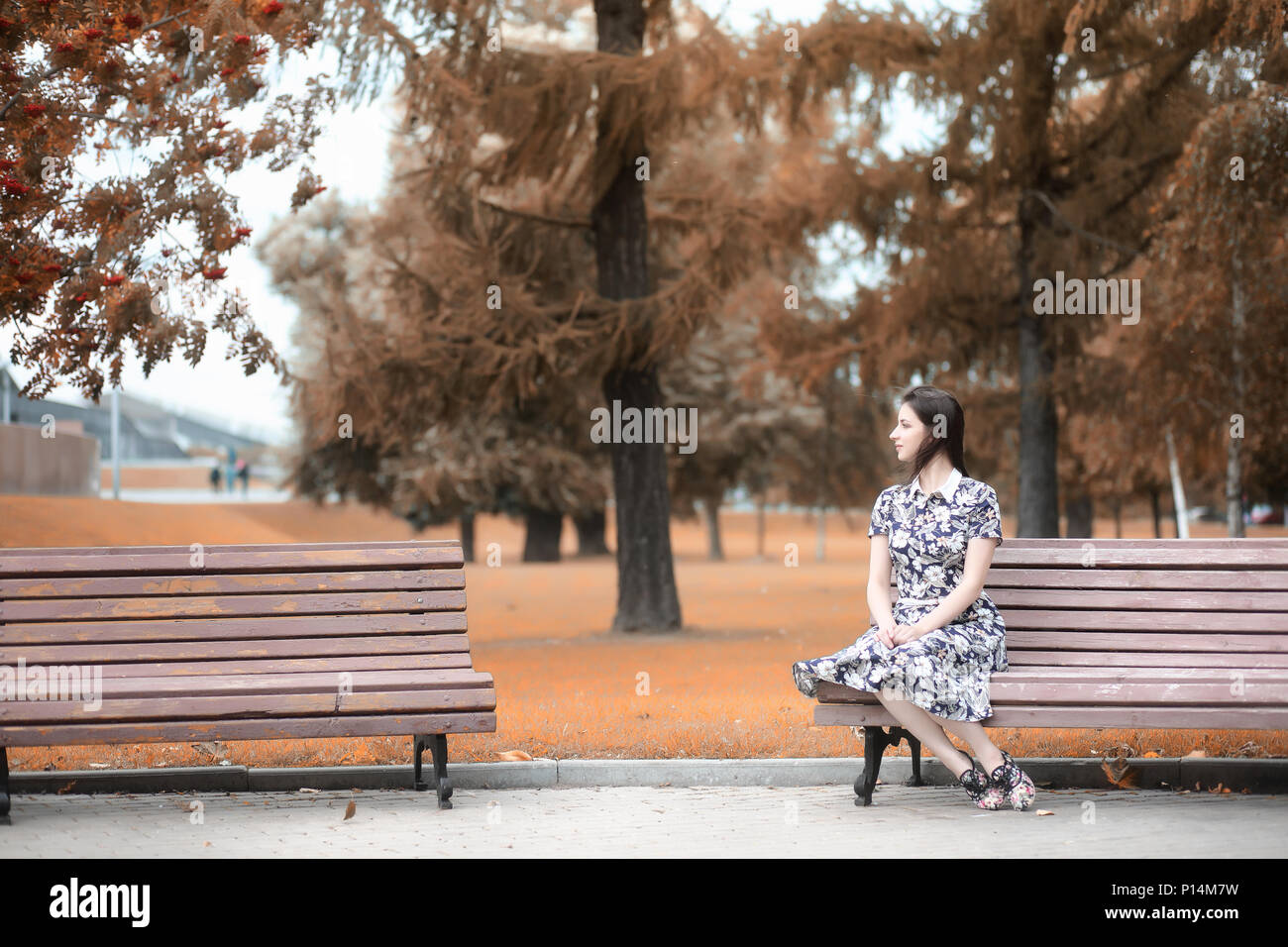 Beautiful girl for a walk in autumn on the nature Stock Photo - Alamy